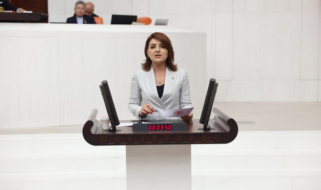 CHP Mersin Milletvekili Gülcan Kış, Türkiye’de emeklilerin içine sürüklendiği yoksulluğa