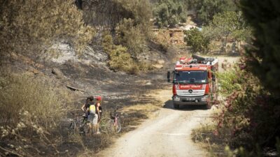 Seferihisar ve Menderes yangınlarının bilançosu ağır Hem ekolojiyi hem ekonomiyi yaktı