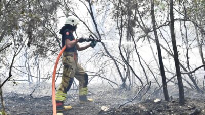 İzmir’in Menderes ilçesinde öğle saatlerinde başlayan orman yangını, rüzgârın da