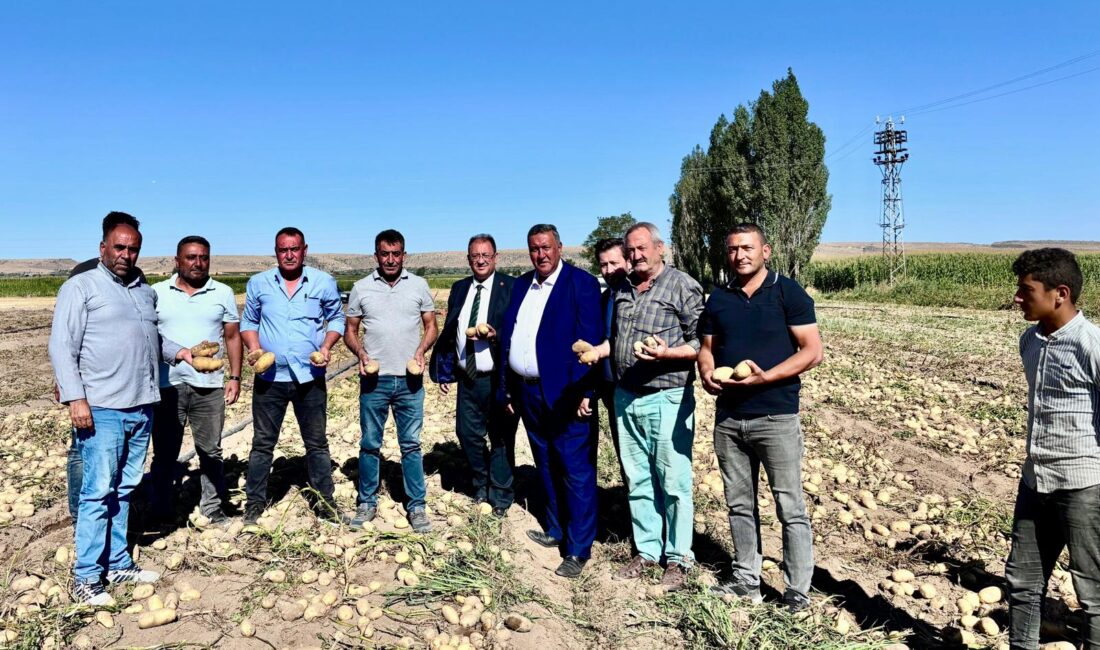 PATATESTE KRİZ SÜRÜYOR 
