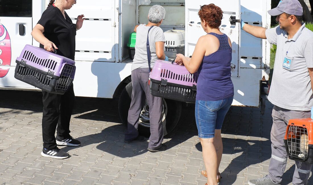 Narlıdere Belediyesi Veteriner İşleri Müdürlüğü, ilçede yaşayan sahipsiz kedilerin sağlığı