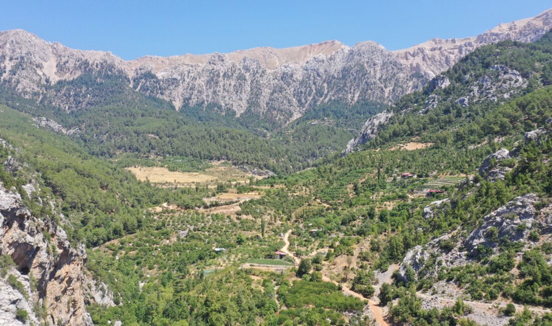 Gazipaşa Belediyesi Fen İşleri Müdürlüğü ekipleri, Çığlık Boğazı olarak bilinen