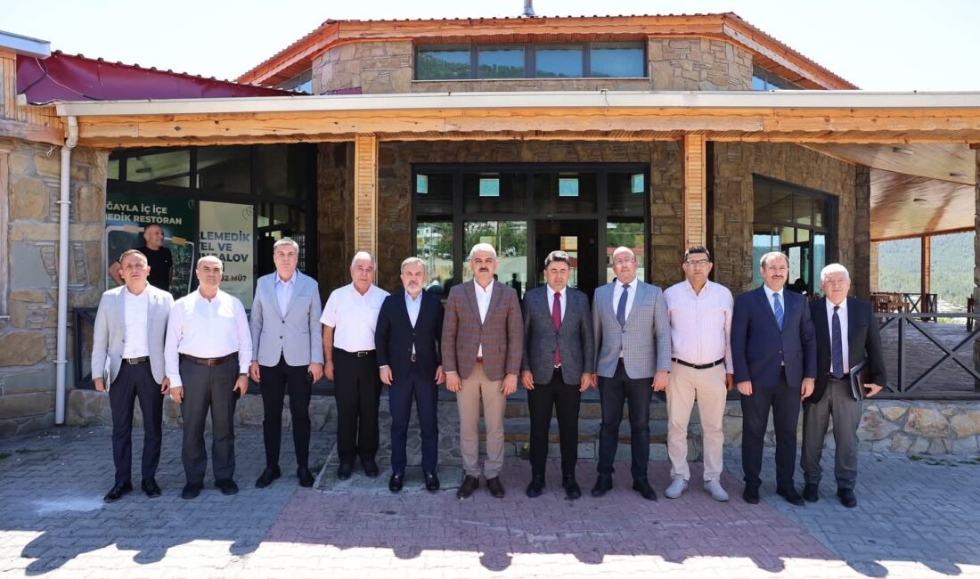Pozantı Belediye Başkanı Ali Avan, Ulaştırma ve Altyapı Bakan Yardımcısı