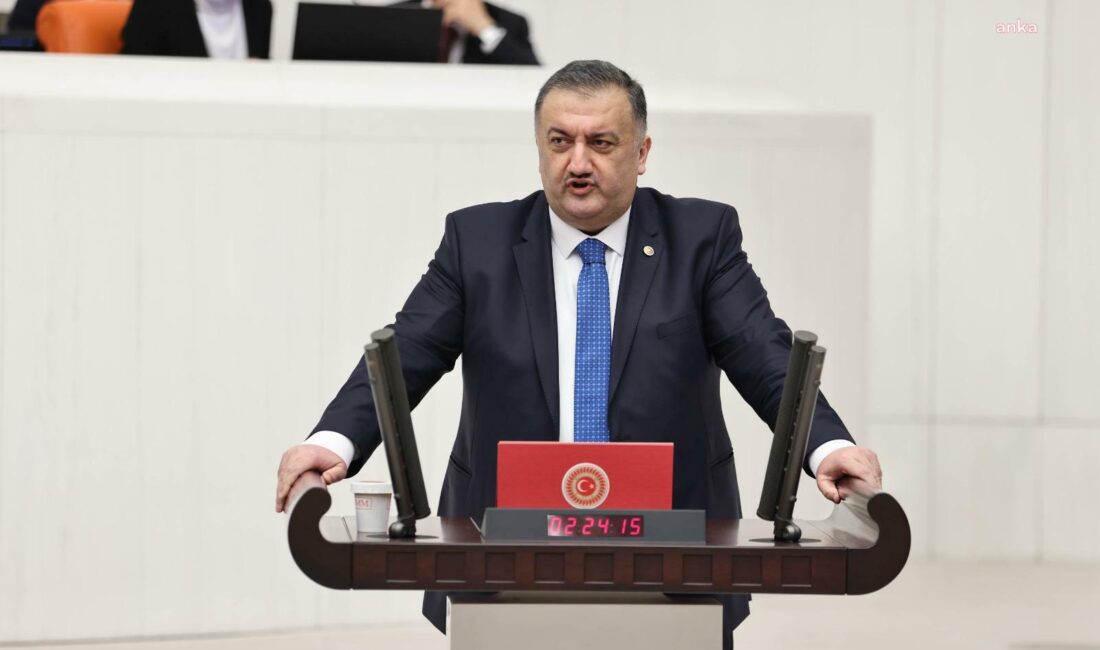 DEVA Partisi Genel Başkan Yardımcısı ve İstanbul Milletvekili Hasan Karal,