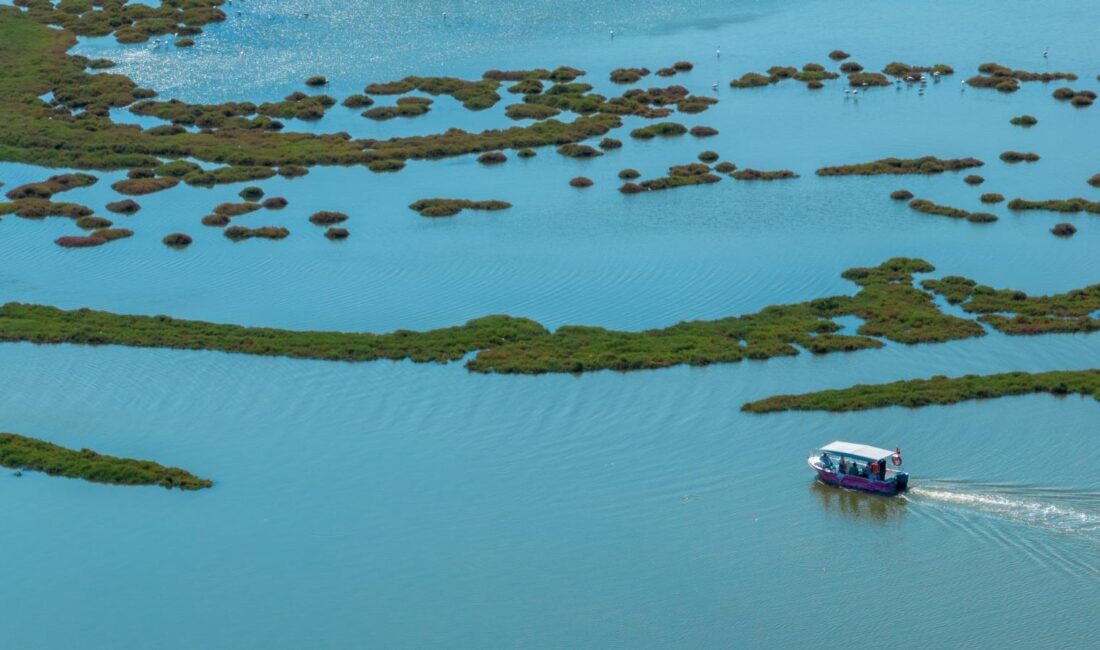 İzmir Büyükşehir Belediyesi iştiraklerinden İZDENİZ tarafından düzenlenen Flamingo Yolu tekne