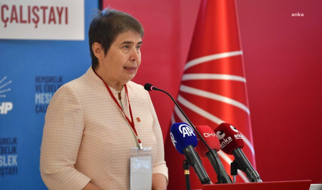 Chp Genel Başkan Yardımcısı Dr. Zeliha Aksaz Şahbaz, yazılı basın