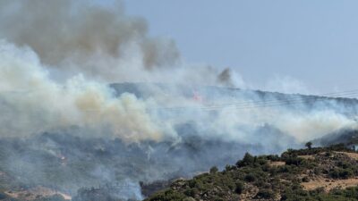 İzmir Aliağa ve Menderes‘te çıkan iki yangını da İzmir Büyükşehir