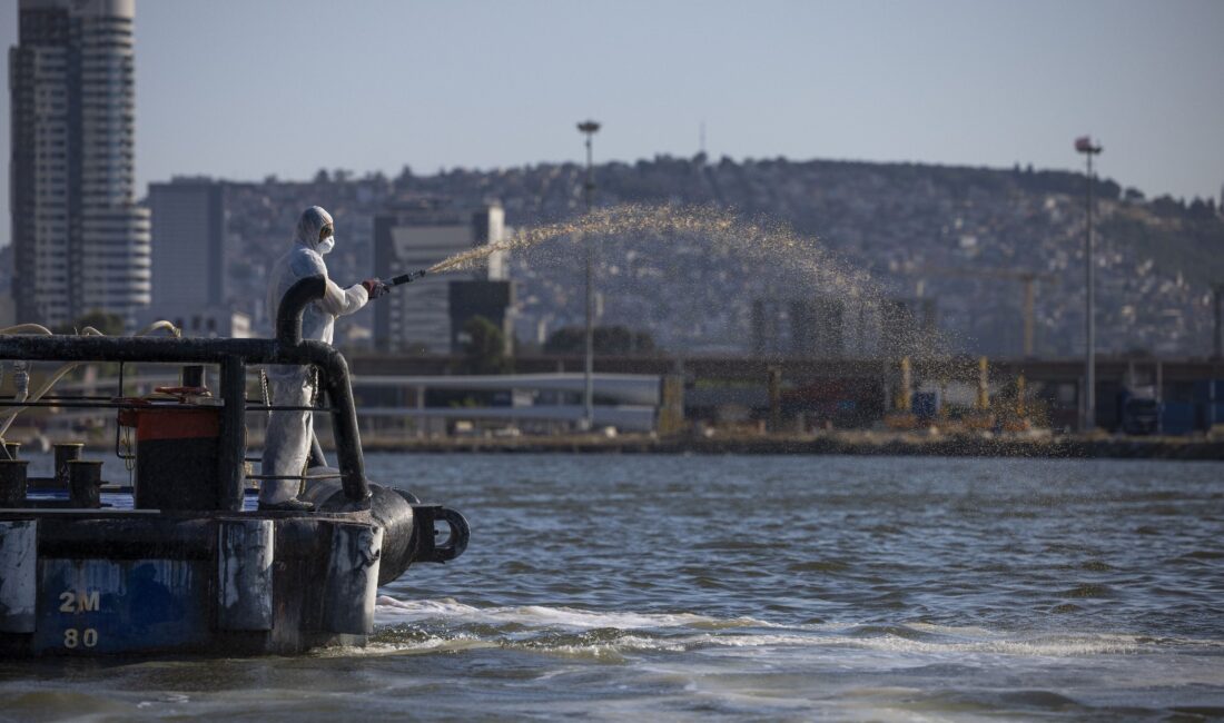 İzmir Körfezi‘nde geçen yıl yaşanan alg patlamaları ve balık ölümlerine