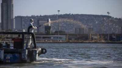 İzmir Körfezi‘nde geçen yıl yaşanan alg patlamaları ve balık ölümlerine