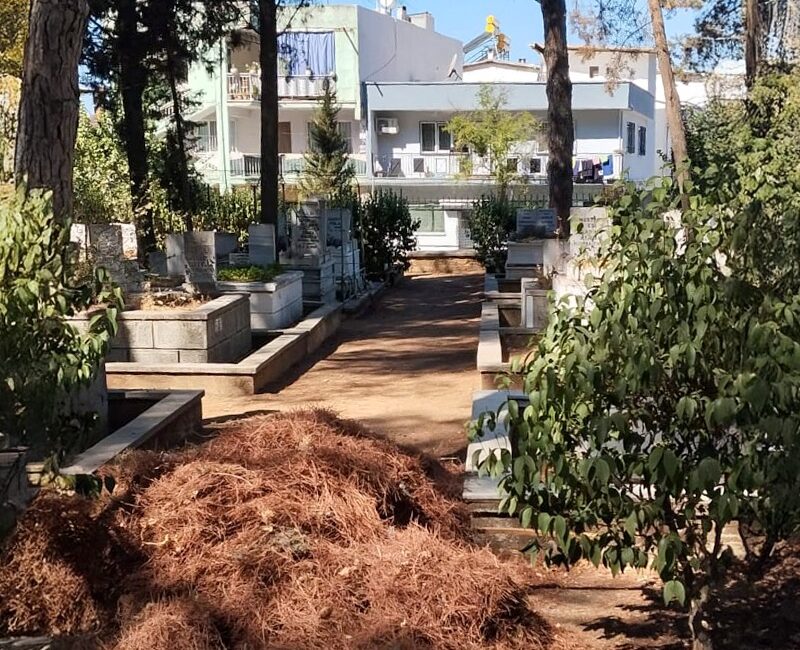 Efeler Belediyesi Mezarlık İşleri Müdürlüğü ekipleri, kent genelinde bulunan kabristanlarda