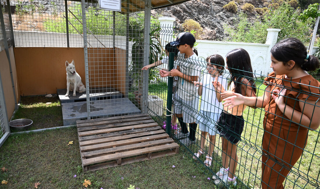 Kemer Belediyesi, “Can dostları”nın sahiplendirilmesine yönelik çalışmaları kapsamında Kemer Belediyesi