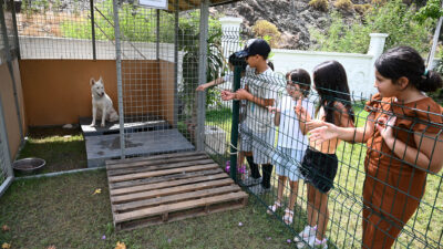 Kemer Belediyesi, “Can dostları”nın sahiplendirilmesine yönelik çalışmaları kapsamında Kemer Belediyesi