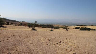 Turgutlu Belediyesi Doğal Yaşam Alanı Projesi İçin İlk Adımı Attı Turgutlu Belediyesi, sahipsiz sokak hayvanlarının daha sağlıklı, güvenli ve doğal