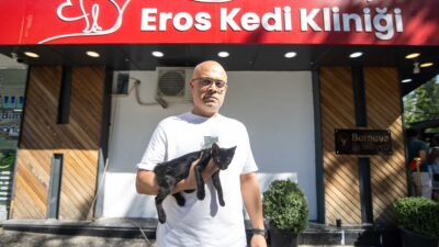 Bornova Belediyesi, Büyükpark’taki kedi kliniğini daha geniş ve modern bir