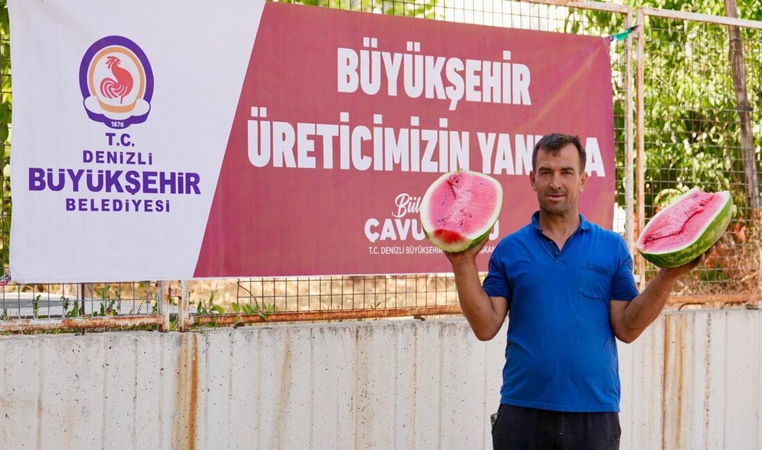 Denizli Büyükşehir Belediyesi, karpuz üreticilerinin elinde kalan tonlarca ürünü satın