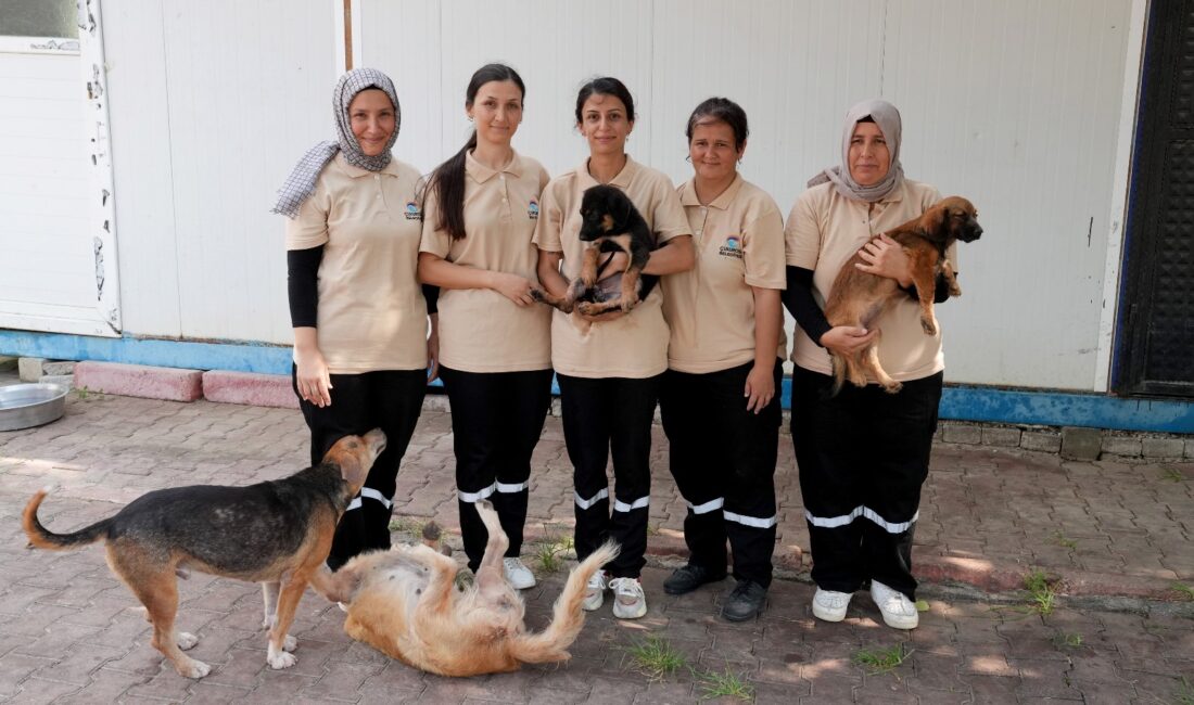 Çukurova Belediyesi Rehabilitasyon Merkezi‘nde görev yapan 5 kadın çalışan, barınağın