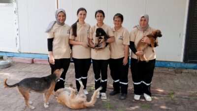 Çukurova Belediyesi’nden Can Dostlara Şefkat Eli: “Barınak Melekleri” Görev Başında Çukurova Belediyesi Rehabilitasyon Merkezi‘nde görev yapan 5 kadın çalışan, barınağın