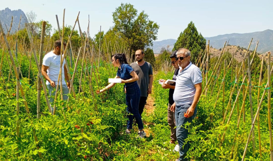 Çankaya Belediyesi, vatandaşların güvenilir ve sağlıklı ürünlere ulaşabilmesi için Ayrancı