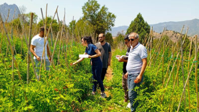 Çankaya Belediyesi’nden Organik Pazar Denetimleri Çankaya Belediyesi, vatandaşların güvenilir ve sağlıklı ürünlere ulaşabilmesi için Ayrancı
