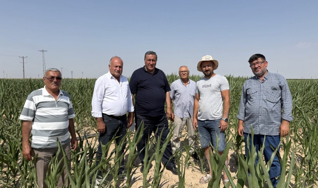 CHP Niğde Milletvekili ve TBMM Tarım, Orman ve Köyişleri Komisyonu