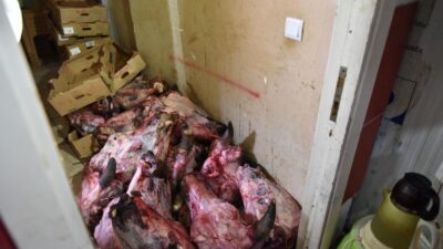 Kepez’de Gıda Terörüne Geçit Yok Kepez Belediyesi Zabıta Müdürlüğü ve İlçe Tarım ve Orman Müdürlüğü