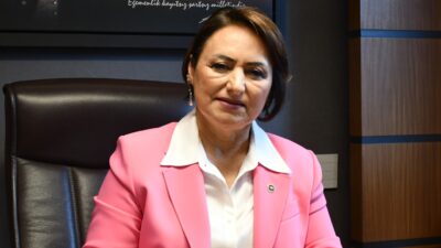 Cumhuriyet Halk Partisi (CHP) Adana Milletvekili, TBMM Başkanlık Divanı Üyesi