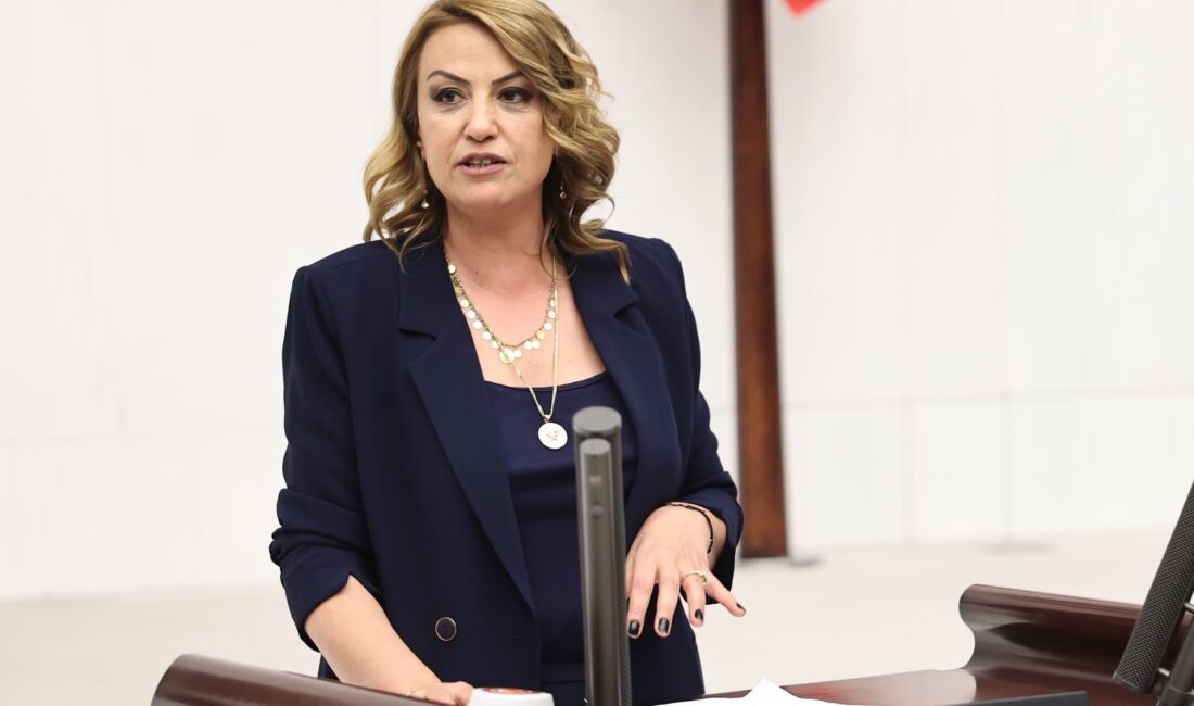 Cumhuriyet Halk Partisi Hatay Milletvekili ve TBMM Katip Üyesi Nermin