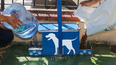 Yazın Sıcak Günlerinde Küçükçekmece Belediyesi’nden Sokak Hayvanlarına Can Suyu Çağrısı Yaz mevsiminin kavurucu sıcakları etkisini sürdürürken Küçükçekmece Belediyesi, sokak hayvanlarının