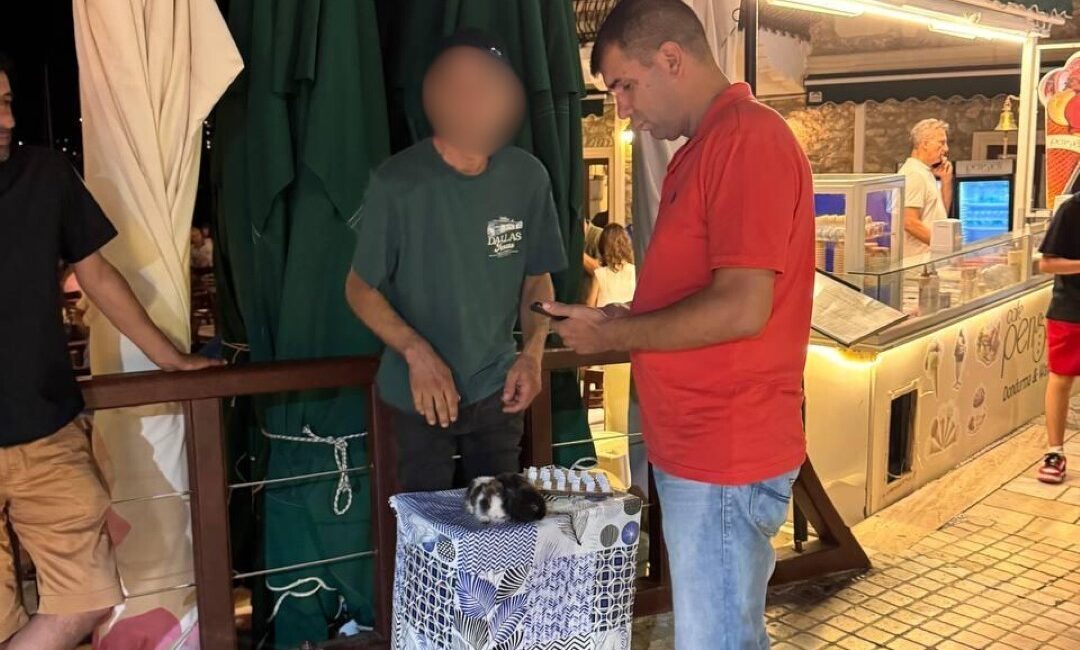 Bodrum Belediyesi Zabıta Müdürlüğü, yaz sezonu boyunca ilçe genelinde gerçekleştirdiği