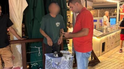 Bodrum Belediyesi Zabıta Müdürlüğü, yaz sezonu boyunca ilçe genelinde gerçekleştirdiği