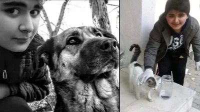 Avcılar’ın Tek Köpek Oyun Parkı Yenilendi: Muhammet Ali Yürekli’nin Anısı Yaşatılıyor Avcılar’ın ve bölgenin tek köpek oyun parkı, yenilenerek modern bir