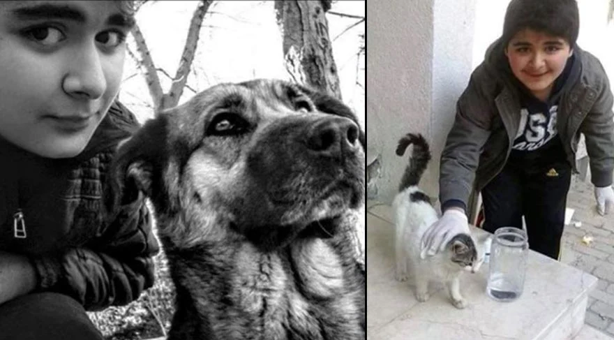 Avcılar’ın ve bölgenin tek köpek oyun parkı, yenilenerek modern bir