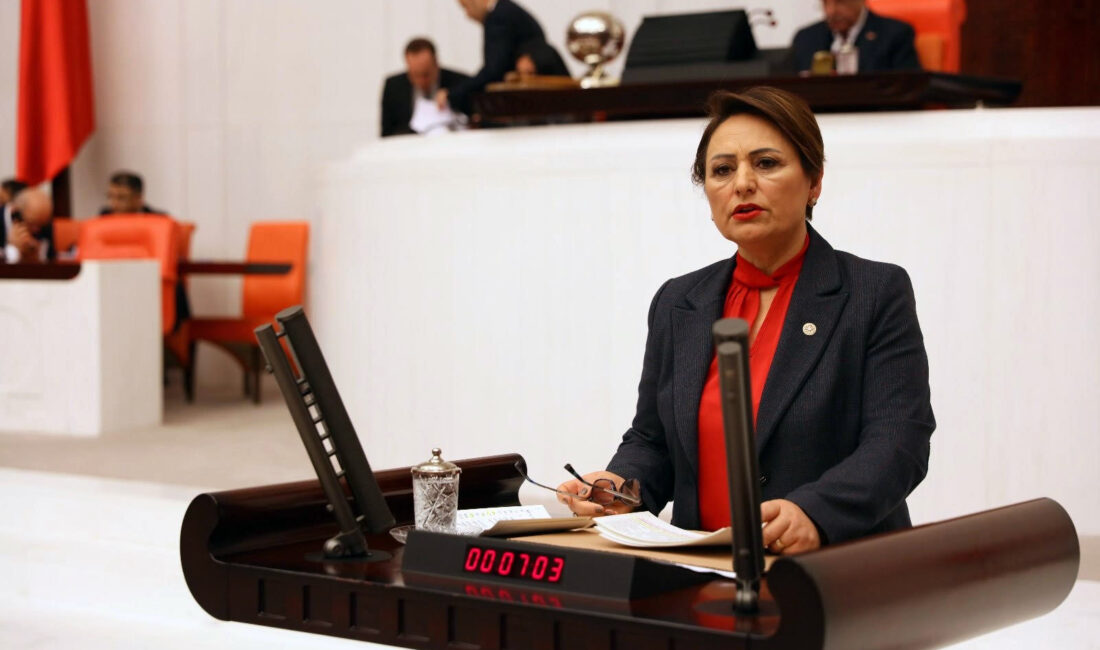 Cumhuriyet Halk Partisi (CHP) Adana Milletvekili Dr. Müzeyyen Şevkin, son