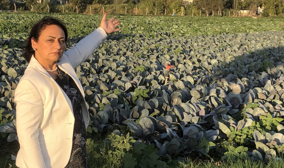 Cumhuriyet Halk Partisi (CHP) Adana Milletvekili, TBMM Başkanlık Divanı Üyesi