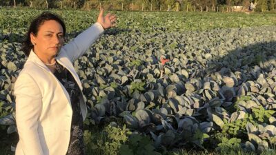 Cumhuriyet Halk Partisi (CHP) Adana Milletvekili, TBMM Başkanlık Divanı Üyesi