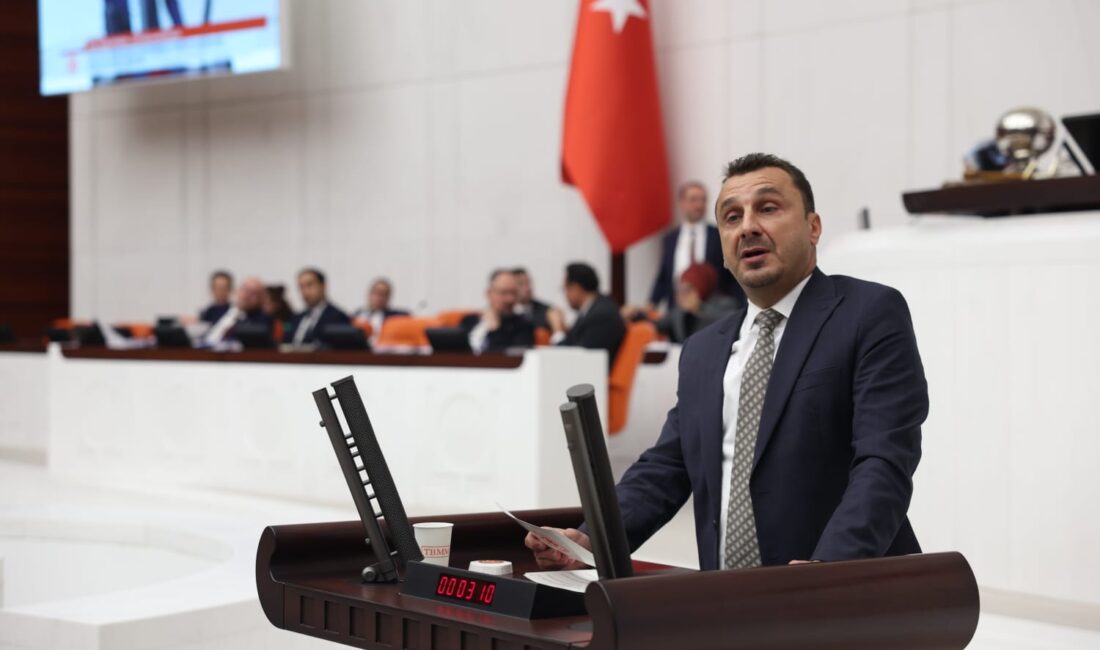 CHP Manisa Milletvekili Bekir Başevirgen, Hazine ve Maliye Bakanı Mehmet