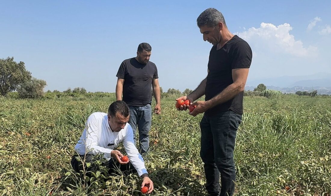 CHP Manisa Milletvekili Bekir Başevirgen, masraflardan dolayı domates, biber, kavun,
