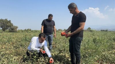 ÜRETİMİ BIRAKMA NOKTASINA GELEN ÇİFTÇİ, CHP’Lİ BAŞEVİRGEN’E İSYAN ETTİ:  “BU DÜZEN ÇİFTÇİYİ BİTİRİR” CHP Manisa Milletvekili Bekir Başevirgen, masraflardan dolayı domates, biber, kavun,