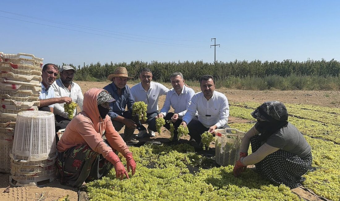 CHP Manisa Milletvekili Bekir Başevirgen, Manisa Turgutlu’da üzüm üreticilerinin sorunlarını