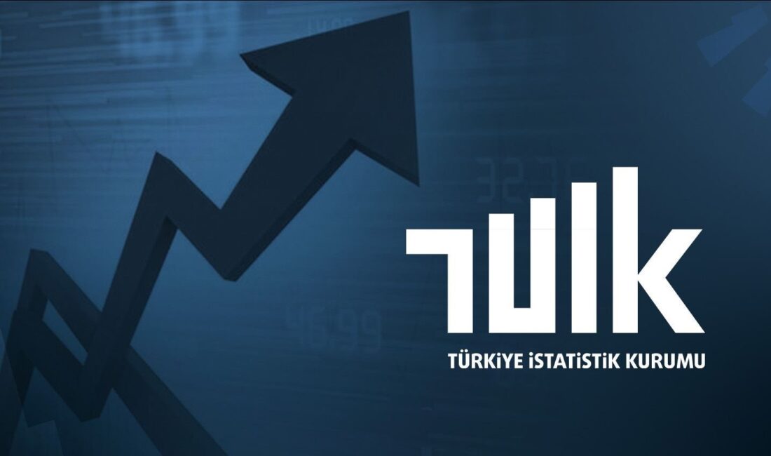 Türkiye İstatistik Kurumu’nun (TÜİK) Ağustos ayı enflasyon verilerini açıklamasıyla birlikte,