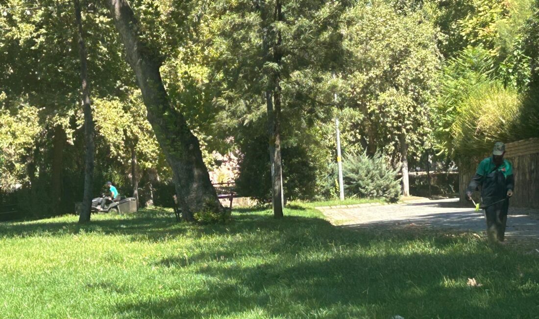 Efeler Belediye Başkanı Anıl Yetişkin’in öncülüğünde, Park ve Bahçeler Müdürlüğü