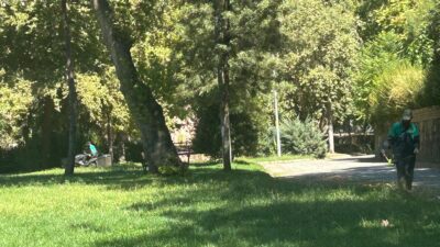 EFELER’İN YEŞİL EKİPLERİ’NDEN PINARBAŞI’NDA KAPSAMLI ÇALIŞMA Efeler Belediye Başkanı Anıl Yetişkin’in öncülüğünde, Park ve Bahçeler Müdürlüğü