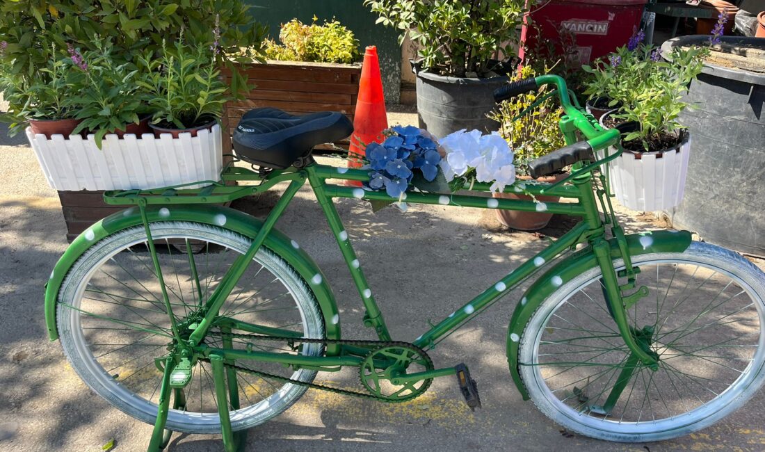 Bursa’da Atıklar Sanata Dönüşüyor Marmara Denizi’nde ve sahillerinde yapılan temizlik