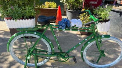 Bursa’da Atıklar Sanata Dönüşüyor Marmara Denizi’nde ve sahillerinde yapılan temizlik