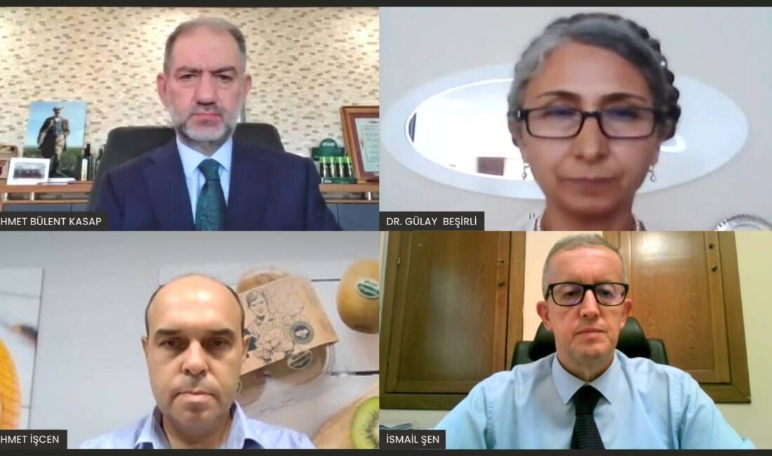 “KENDİ KÜÇÜK, POTANSİYELİ BÜYÜK MEYVE: ALTIN ÇİLEK”

 