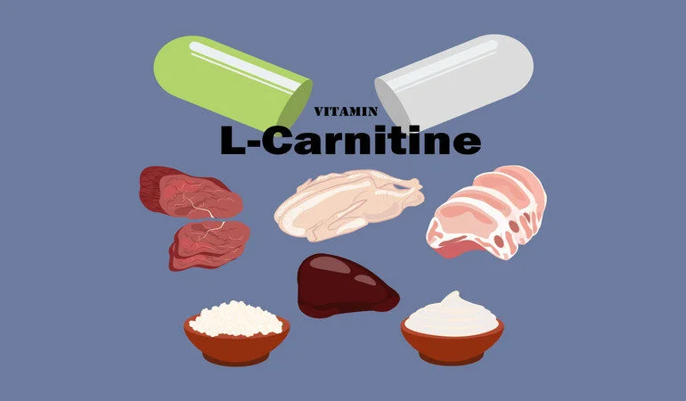 L-Carnitine Nedir? Karnitin Ne İşe Yarar? Faydaları Ve Zararları Neler?