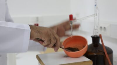 Muğla Büyükşehir ve MSKÜ İş Birliğiyle Toprak Verimliliği Artıyor Muğla