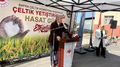 CHP’li Murat Çan’dan İktidara Uyarı: ‘Çeltik Üreticimizin Emeğini Heba Etmeyin’