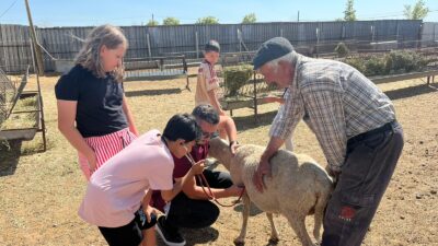 Eskişehir Büyükşehir Belediyesi ve Seyitgazi Belediyesi iş birliğiyle hayata geçirilen
