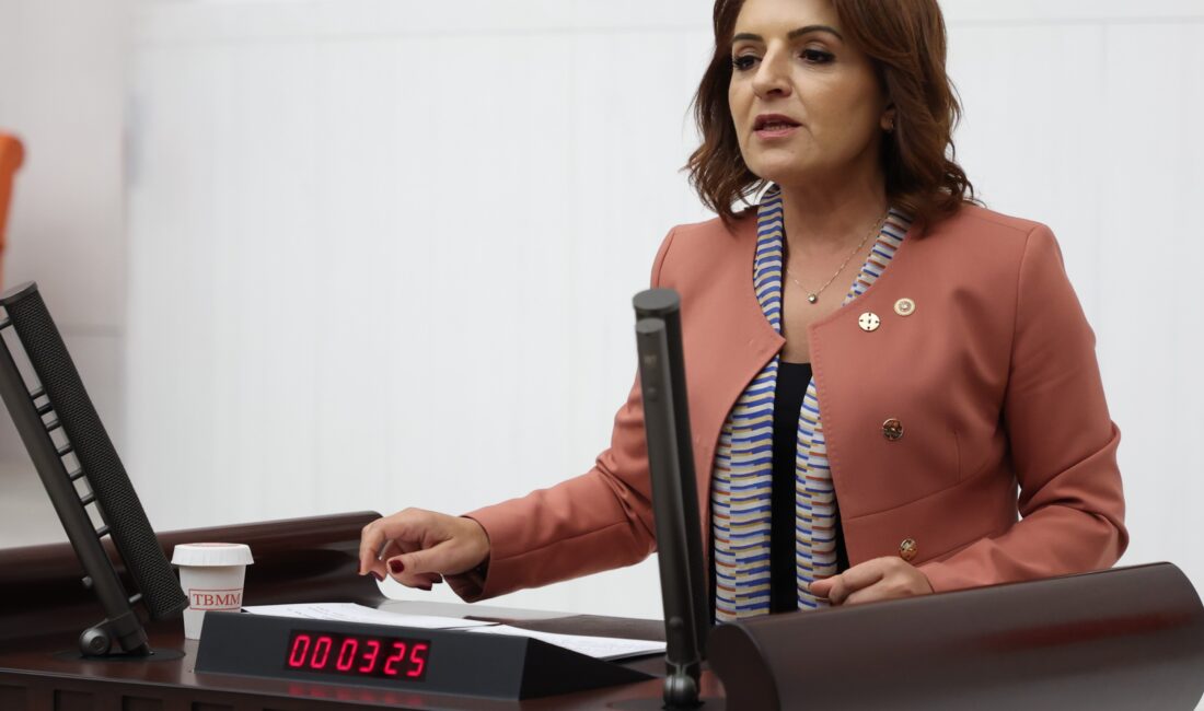 CHP Mersin Milletvekili Gülcan Kış, Türkiye’de eğitimde ve istihdamda olmayan